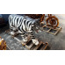 SIBERIAN TIGER LIFESIZE REALISTIC STATUE APPROX 180CM X 40CM X 90CM PAINTED VOLCANIC ROCK COATED FIBREGLASS