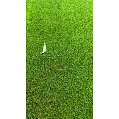 SYNTHETIC GRASS/TURF 2M X 25M LONG (50 SQM PER ROLL)