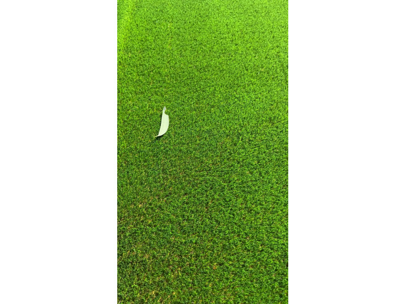 SYNTHETIC GRASS/TURF 2M X 25M LONG (50 SQM PER ROLL)