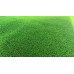 28MM PILE SYNTHETIC GRASS TURF - SOLD BY THE SQUARE METRE